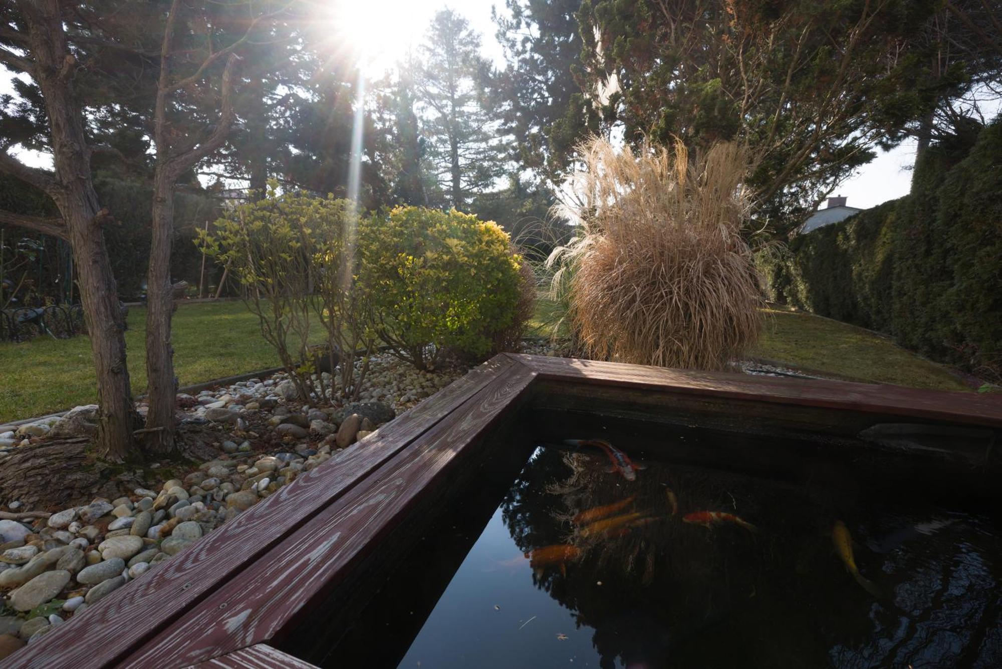 Garden * Vienne